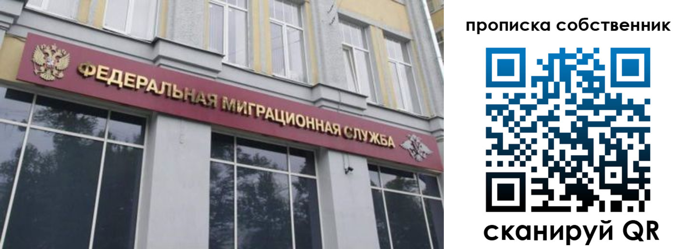 прописка паспорт в Химках
